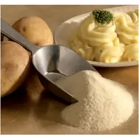 Оборудование для производства сухого картофельного пюре
